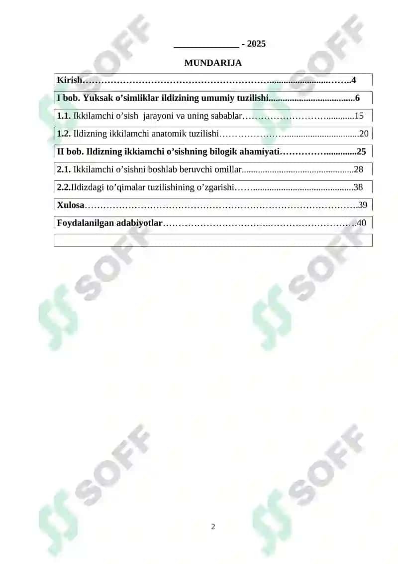 Yuksak o’simliklar ildizlarining ikkamchi anatomik tuzilishi 2