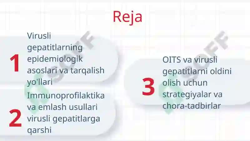 Virusli gepatitlar  va orttirilga immun tanqisligi sindromi (OITS) kasalliklari epidemiologiyasi va profilakrikasi. Virusli gepatitlarning immunoprofilaktikasi 2