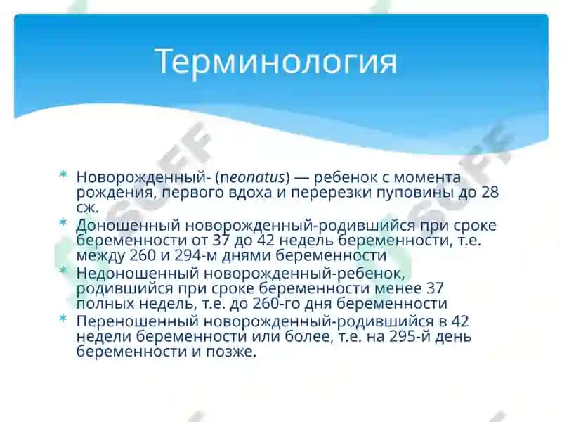 Организация медицинской помощи новорожденным 2