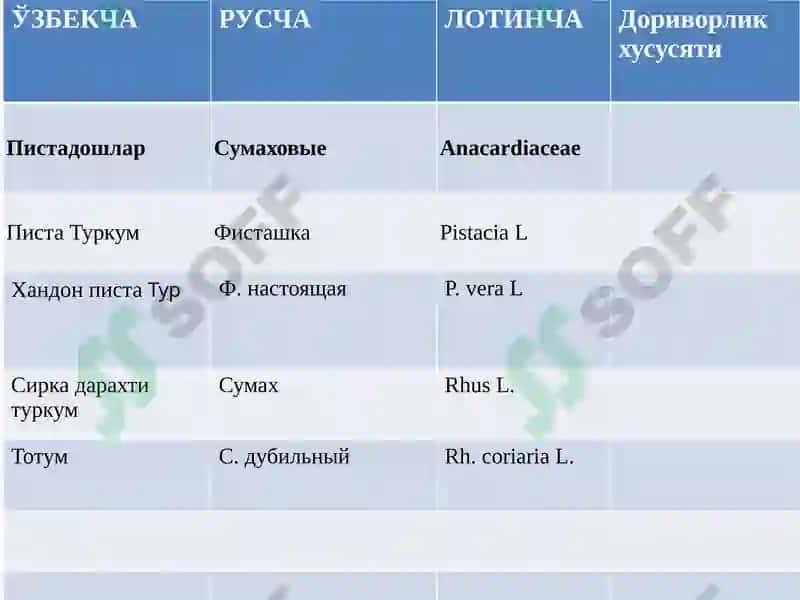 Толали доривор ўсимликлари 2