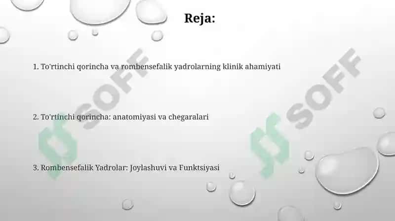 Miyachaning tuzilishi. IV-qorincha, Rombsimon bosh miya nervlari o'zaklarining joylashishi 2