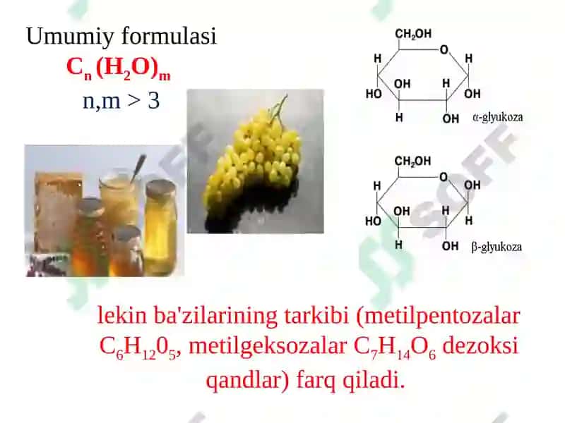 Uglevodlar Sho'rchi 2024 2