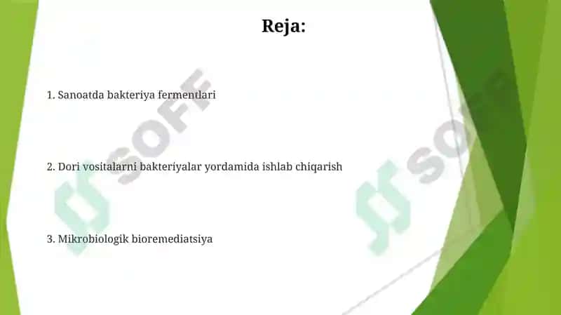 Bakteriyalardan biotexnologiyada foydalanish yunalishlari 2
