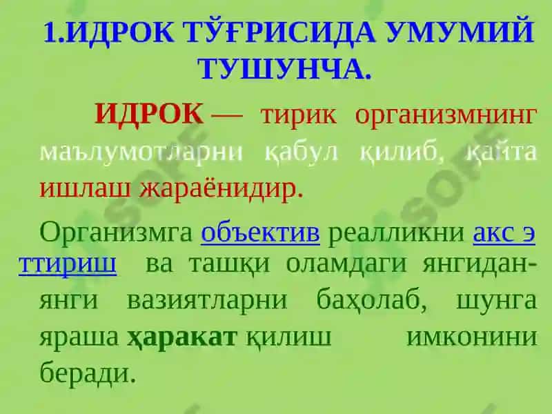Идрок 2