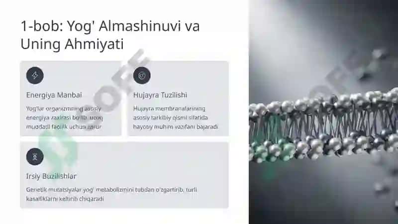 Yog'lar Almashinuvidagi Irsiy Buzilishlar: Molekuladan Klinikagacha 2