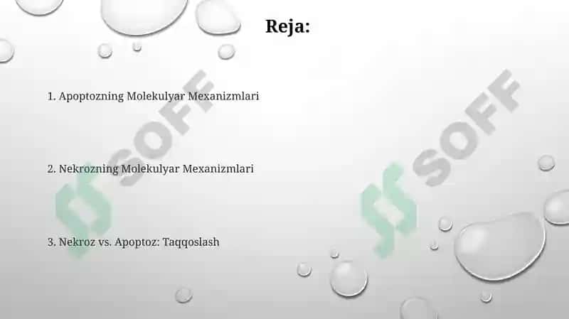 Nekroz va apoptoz haqida umumiy tushuncha 2