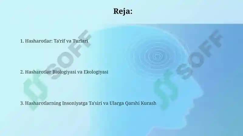 Hasharotlar: Ta'rif va Turlari 2