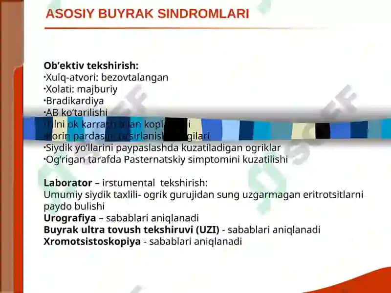 BUYRAK KASALLIKLARI SINDROMLARI. O‘TKIR VA SURUNKALI GLOMERULONEFRIT VA PIYELONEFRITLAR DIAGNOSTIKASI 2
