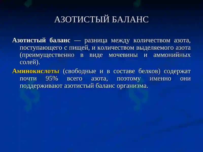 Обмен белков и аминокислот 2