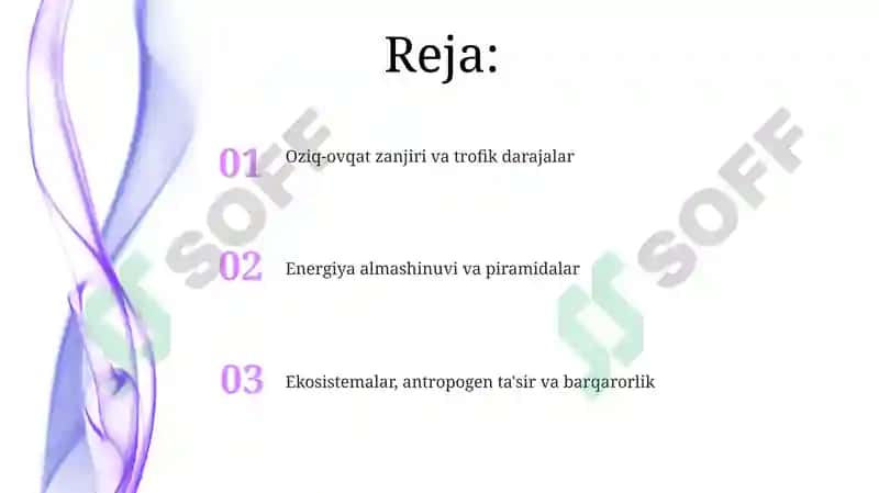Oziq-ovqat zanjiri va trofik darajalar 2