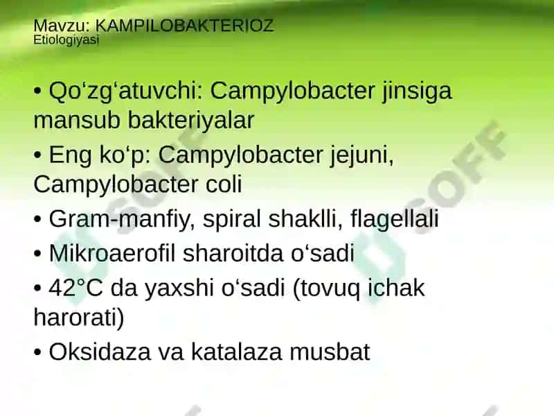 KAMPILOBAKTERIOZEtiologiyasi 2