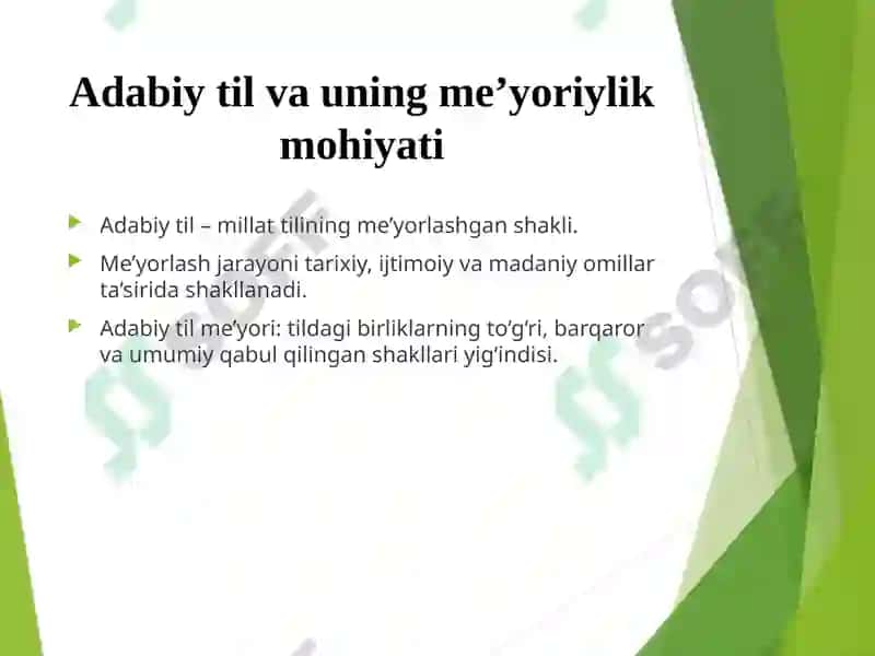 O‘ZBEK ADABIY TILI ME’YORLARI VA ULARNING TASNIFI 2