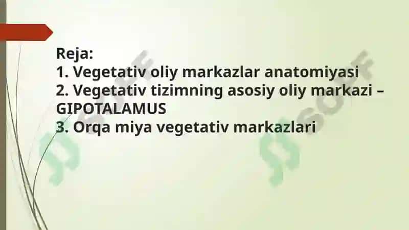 Vegetativ o‘liy markazlar va ularning funksional ahamiyati 2