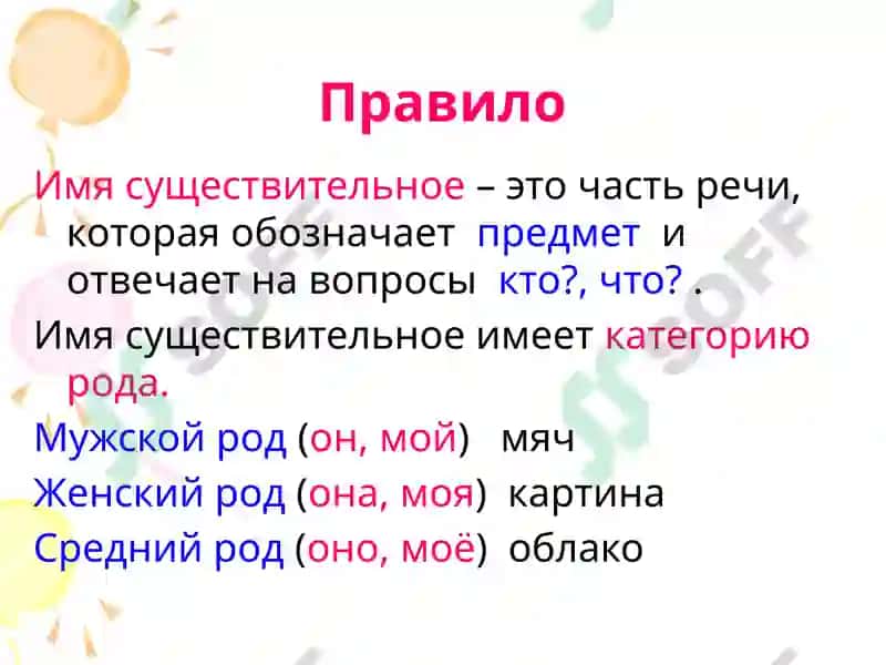 Род имён существительных 2