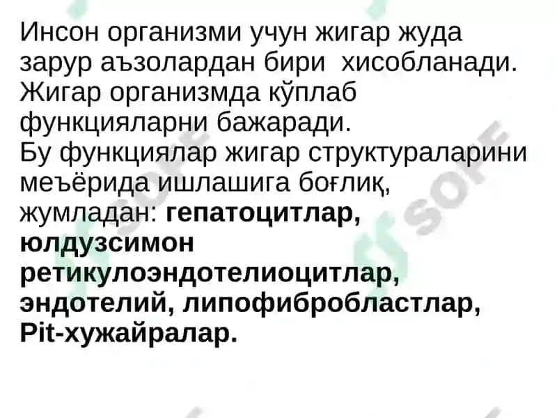 Жигар касалликларидаги асосий клиник синдромлар 2