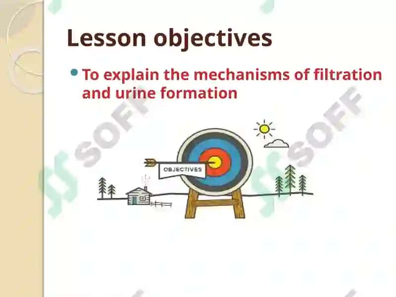 Urine Formation 2
