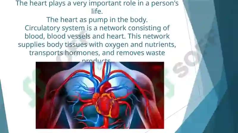 Heart and Vascular System 2