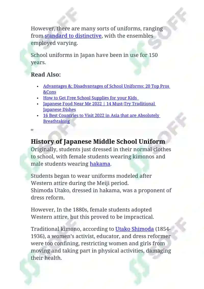 Japanese School Uniform 2