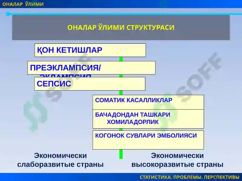 Чилладаврисептикасоратлари 2