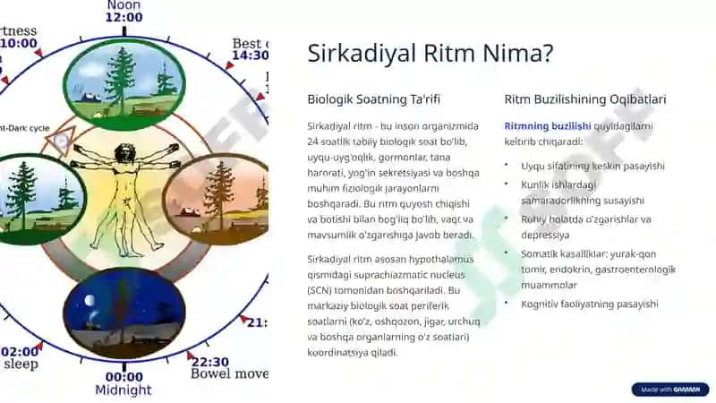 Sirkadiyal Ritm Buzilishlari: Biologik Soatning Tabiiy Ritmi Buzilishi 2