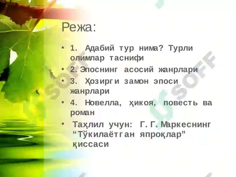 Адабий тур тушунчаси 2