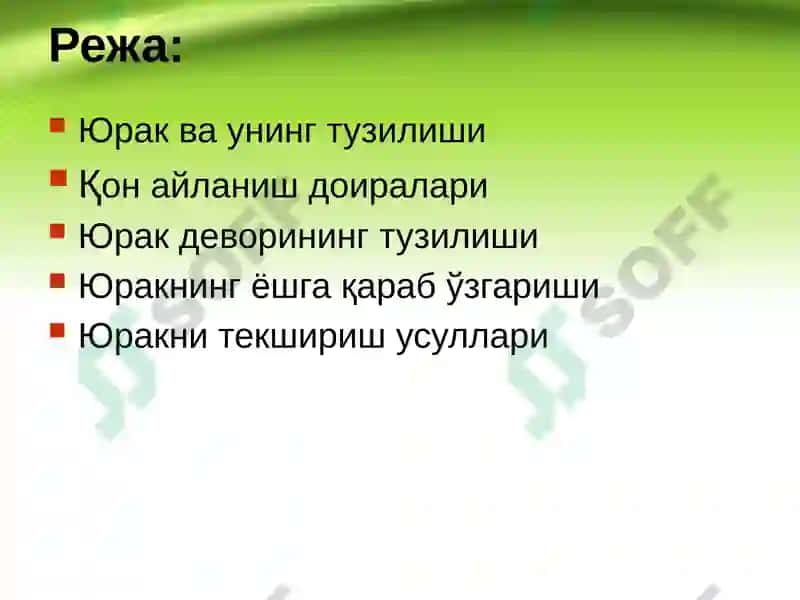 Юрак, қон айланиш доиралари, юракнинг ёшга қараб ўзгариши 2