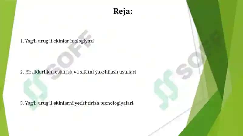 Efirmoyli ekinlar biologiyasi yetishtirish texnologiyasi 2