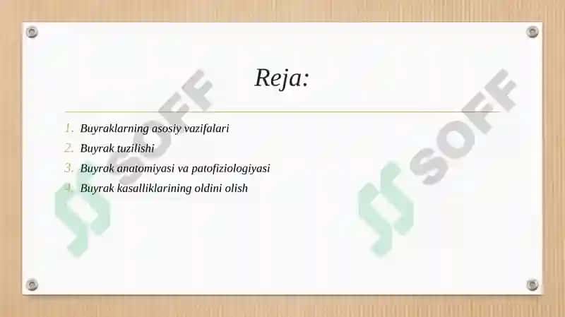 Buyrak haqida 2