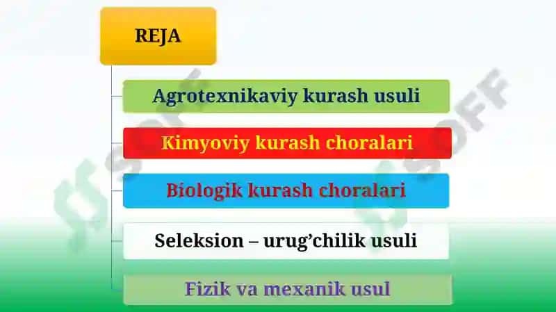 O'SIMLIKLAR KАSАLLIKLАRIGАQАRSHI KURАSH USULLАRI 2