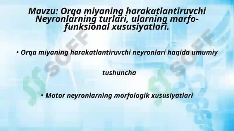 orqa miyaning harakatlantiruvchi neyronlari haqida umumiy tushuncha 2