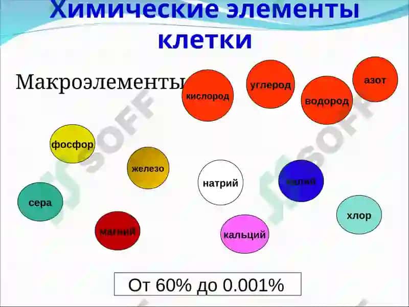 Химические элементы клетки 2