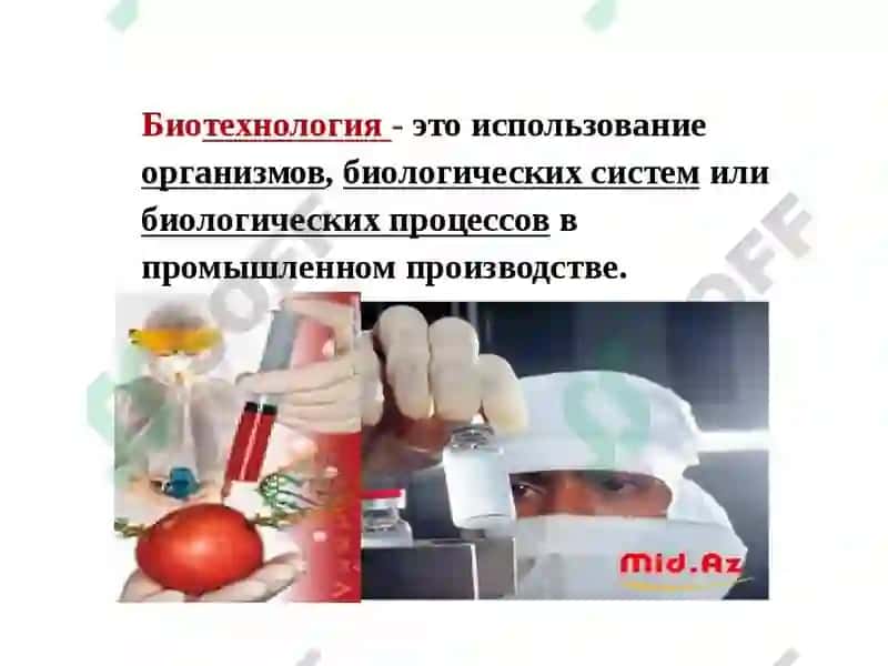Қишлоқ хўжалик экинларини соғломлаштиришнинг биотехнологик асослари. 2