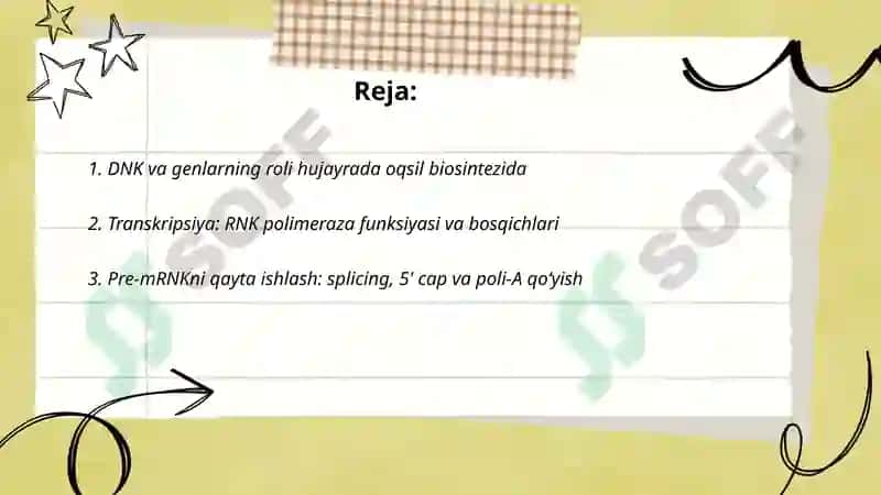 Hujayrada oqsil biosintezi 2