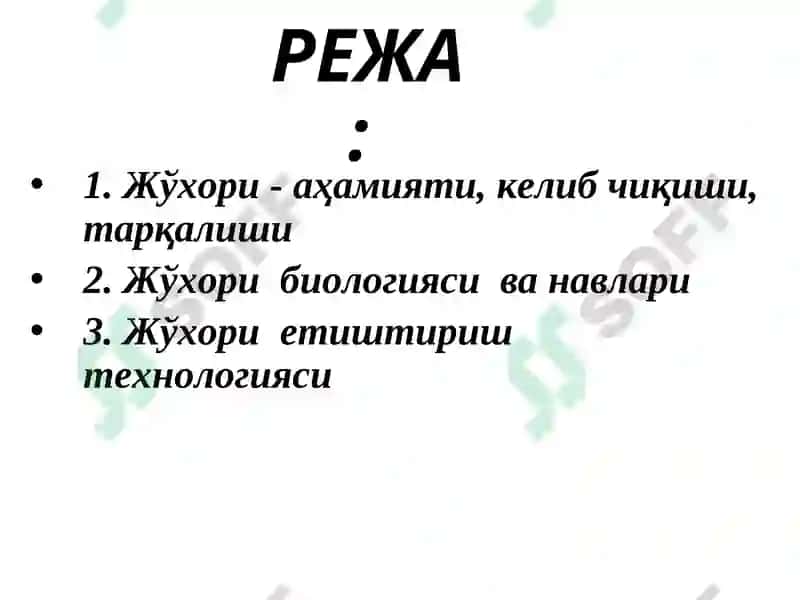 ЖЎхори биологияси ва етиштириш технологияси 2