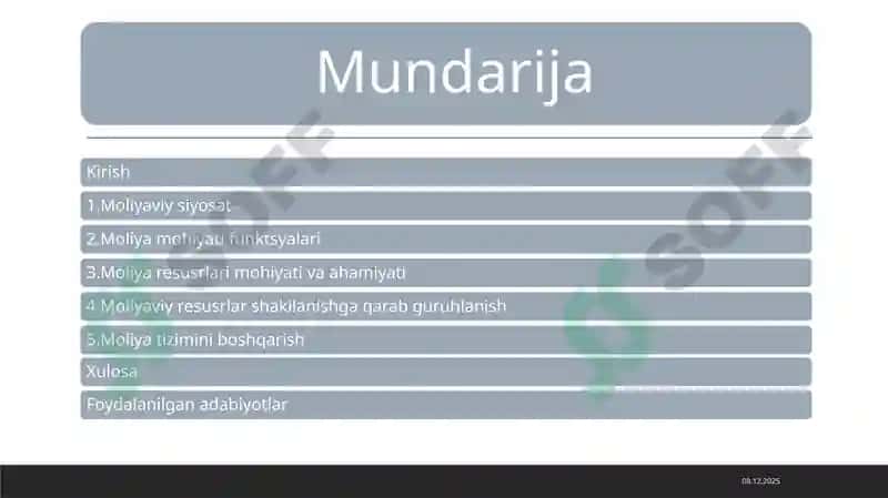 Moliyaning mohiyati va funksiyalari mavzusida mustaqil ish 2