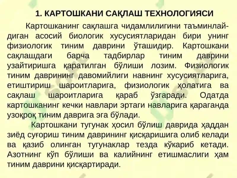 Картошка ва полиз маҳсулотларини сақлаш технологияси 2
