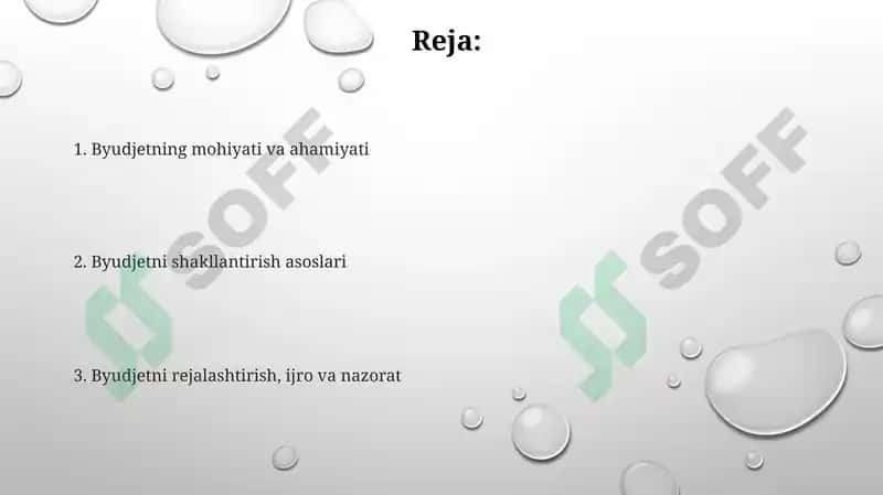 Byudjetning mohiyati va ahamiyati 2