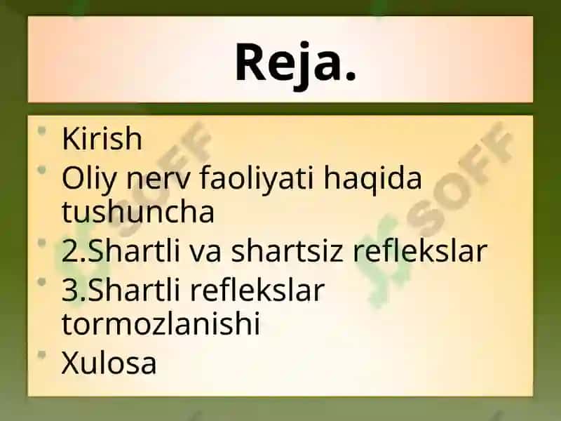 Yo'nalish refleksiya 2