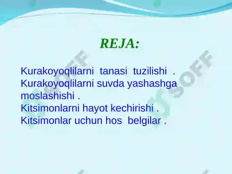 Dengiz sutemizuvchilari: kurakoyoqlilar va kitsimonlarturkumlari 2