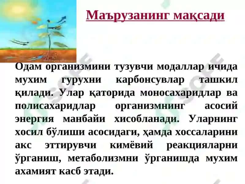 Карбонсувлар. Тузилиши ва хоссалари ва функциялари 2