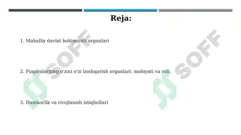 Mahalliy davlat hokimiyati organlari 2