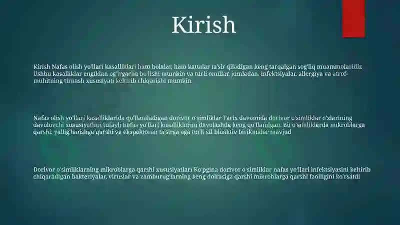 Nafas Yo'Llari Kassalliklarida Va Mikroblarga Qarshi Qo'Llaniladigan Dorivor O'Simliklar 2