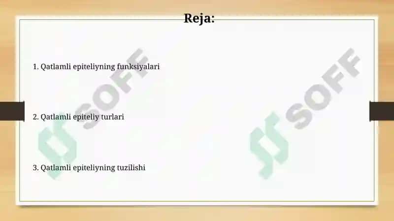Bezli epiteliysining tuzilishi va vazifalari 2