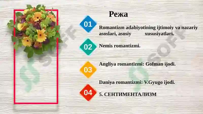 Romantizm adabiyoti 2