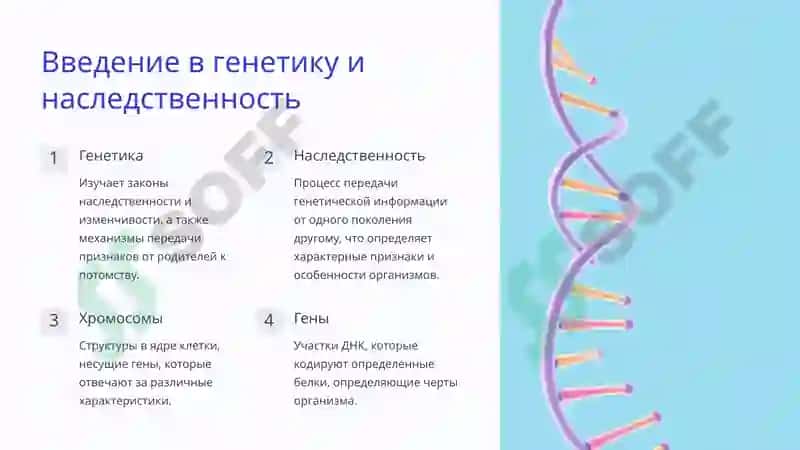 Рол-биологии-в-ичучении  mavzusida prizintatsiya 2