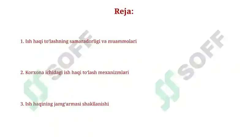 Ish Haqi Fondini Shakllantirish va Mehnatiga Haq To'lash 2