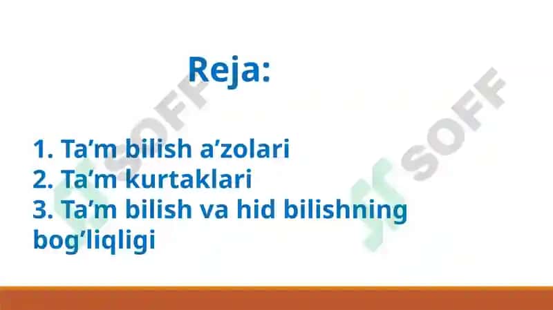 Ta’mbilisha’zolarining funksional anatomiyasi 2