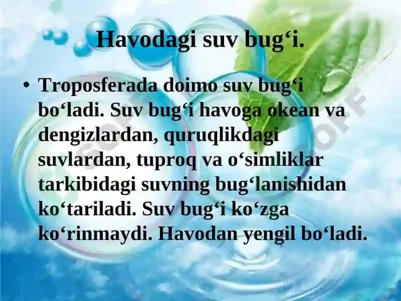 Havodagi suv bug‘i 2