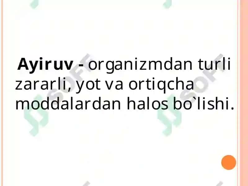 Ayirish Sistemasi Fiziologiyasi 2