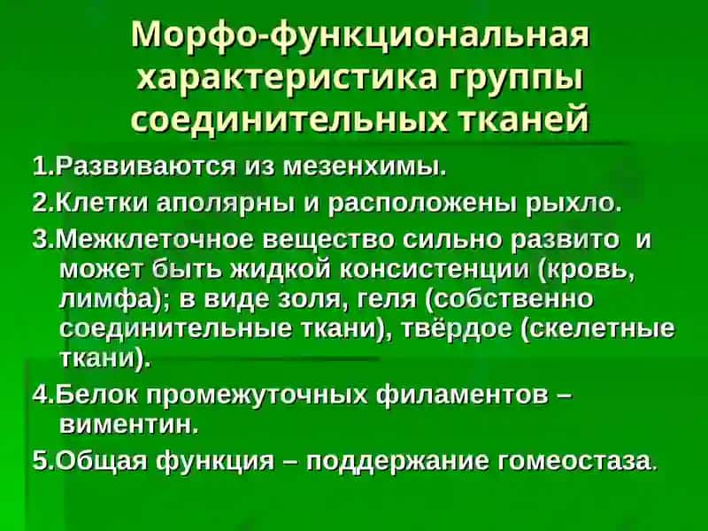 Лекция: «Собственно соединительные ткани. Соединительные ткани со специальными свойствами».Доцент Курумчина С.Г. 2
